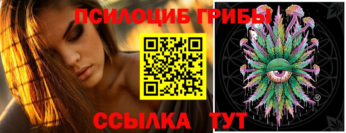 Воронеж  Псилоцибиновые грибы Magic Shrooms  Вход с VPN 